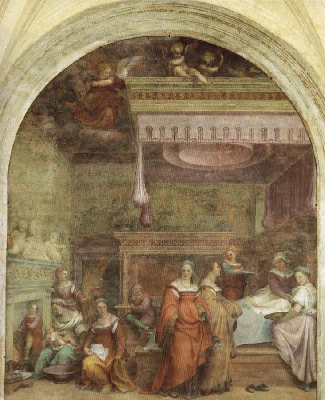 Andrea del Sarto Birth of the Virgin France oil painting art